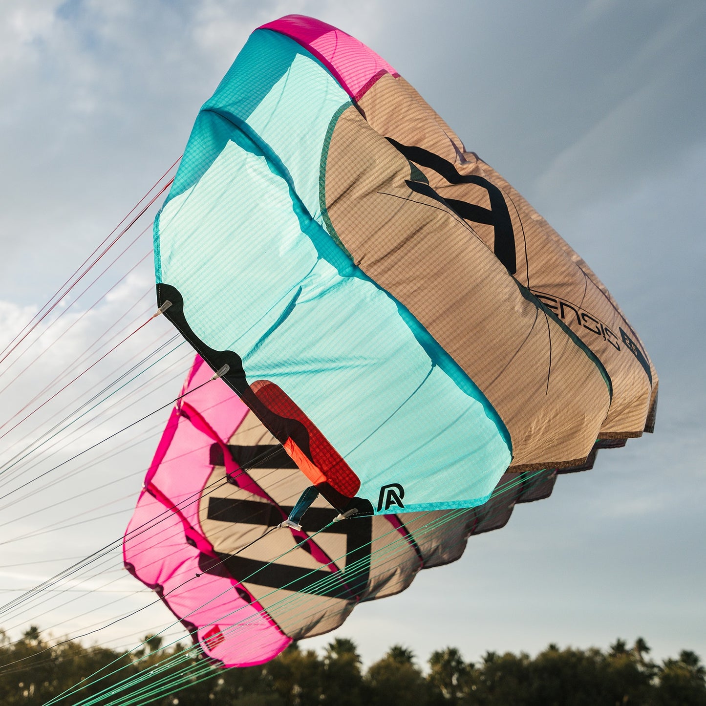 Ensis ROGER Parawing 3.0m - NEW - 15% OFF!